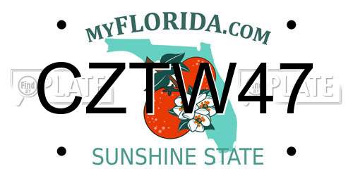 CZTW47 Florida License Plate