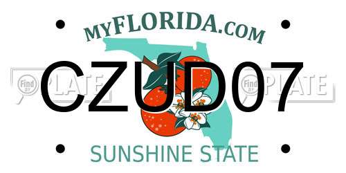 CZUD07 Florida License Plate