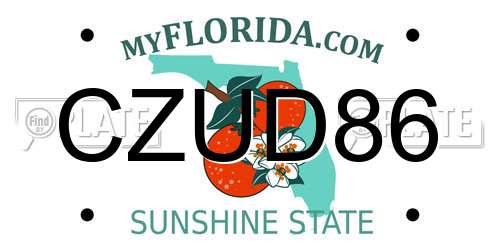 CZUD86 Florida License Plate