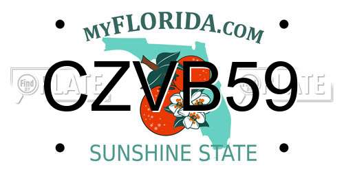 CZVB59 Florida License Plate