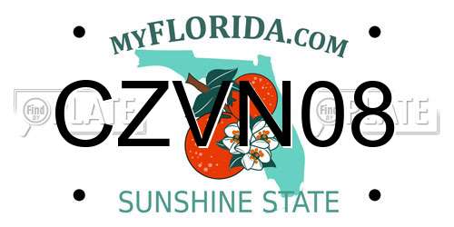 CZVN08 Florida License Plate