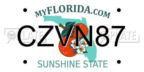 CZVN87 Florida License Plate