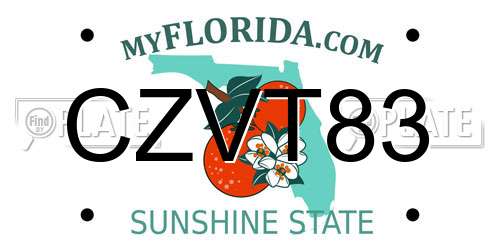 CZVT83 Florida License Plate