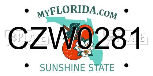 CZW0281 Florida License Plate