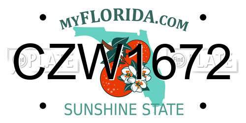 CZW1672 Florida License Plate