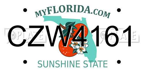 CZW4161 Florida License Plate
