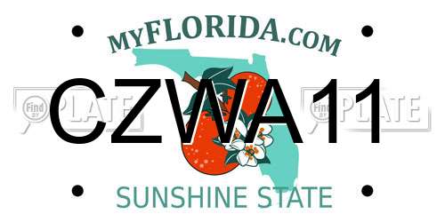 CZWA11 Florida License Plate