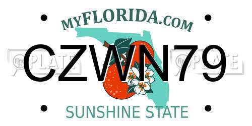 CZWN79 Florida License Plate