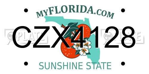 CZX4128 Florida License Plate