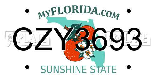 CZY3693 Florida License Plate