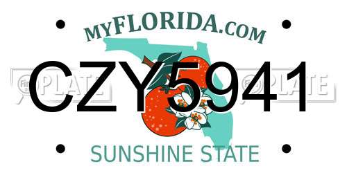 CZY5941 Florida License Plate