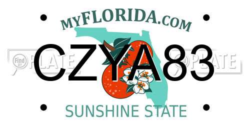 CZYA83 Florida License Plate