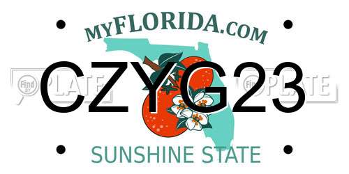 CZYG23 Florida License Plate