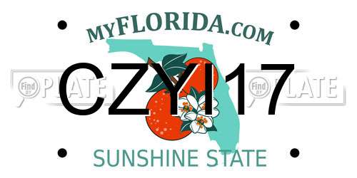 CZYI17 Florida License Plate