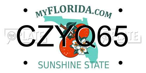 CZYQ65 Florida License Plate