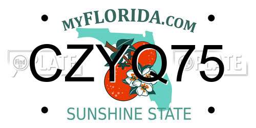 CZYQ75 Florida License Plate