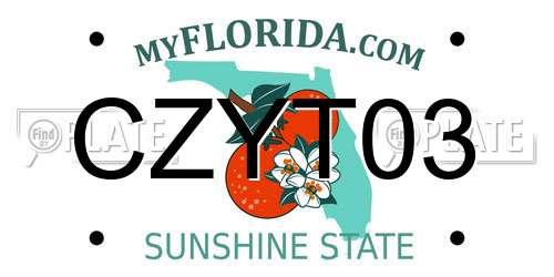 CZYT03 Florida License Plate