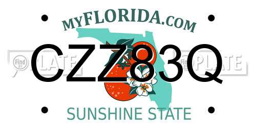 CZZ83Q Florida License Plate