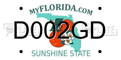 D002GD Florida License Plate