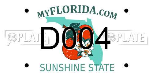 D004 Florida License Plate