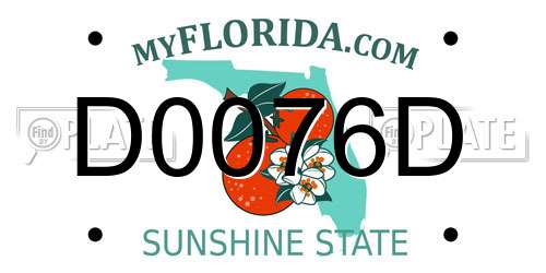 D0076D Florida License Plate