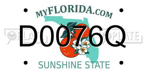 D0076Q Florida License Plate
