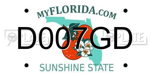 D007GD Florida License Plate