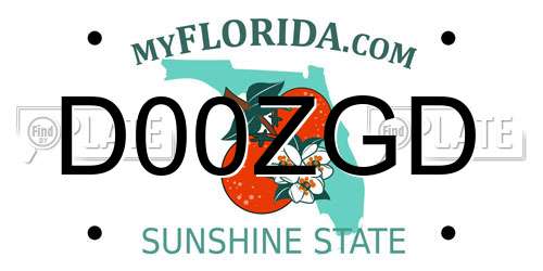 D00ZGD Florida License Plate