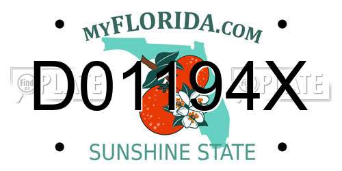 D01194X Florida License Plate