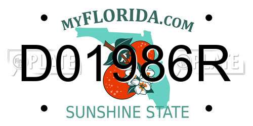 D01986R Florida License Plate