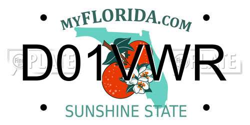 D01VWR Florida License Plate