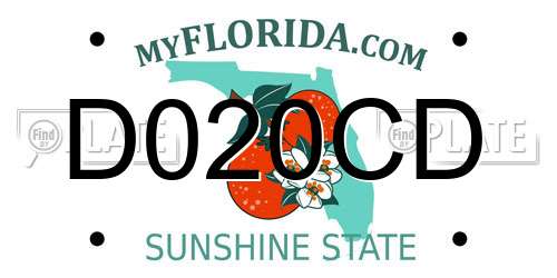 D020CD Florida License Plate