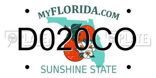 D020CO Florida License Plate