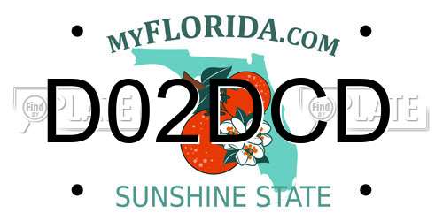 D02DCD Florida License Plate