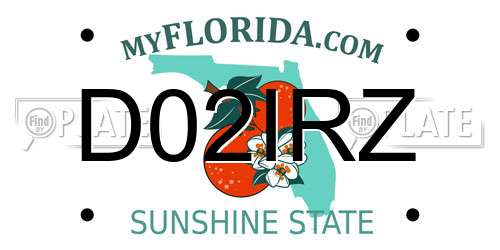 D02IRZ Florida License Plate
