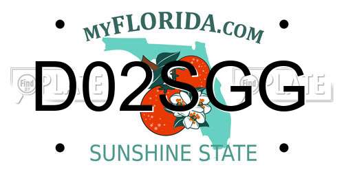 D02SGG Florida License Plate