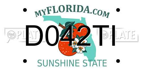 D042TI Florida License Plate