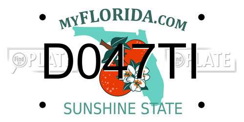 D047TI Florida License Plate