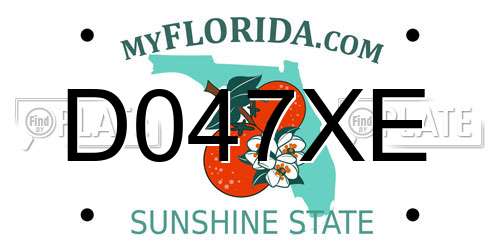 D047XE Florida License Plate