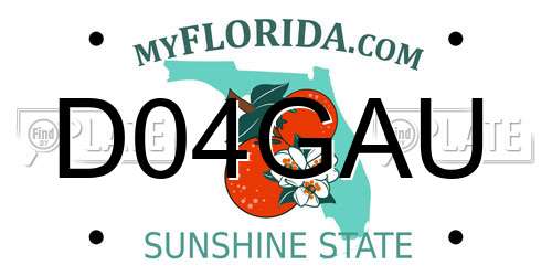 D04GAU Florida License Plate