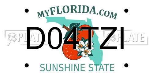 D04TZI Florida License Plate