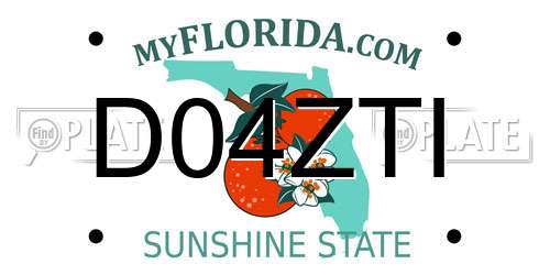 D04ZTI Florida License Plate
