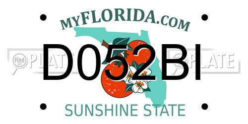 D052BI Florida License Plate