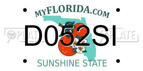 D052SI Florida License Plate