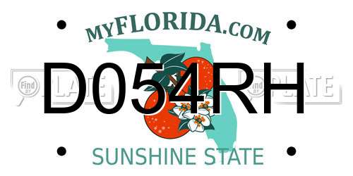 D054RH Florida License Plate