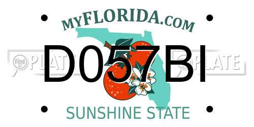 D057BI Florida License Plate