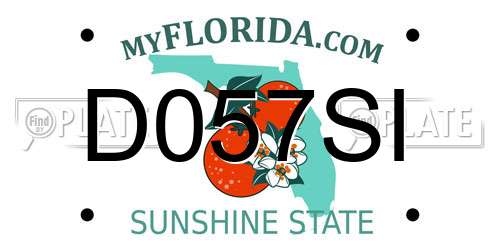 D057SI Florida License Plate