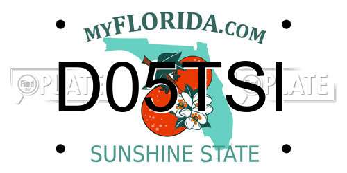 D05TSI Florida License Plate