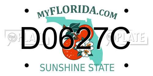 D0627C Florida License Plate