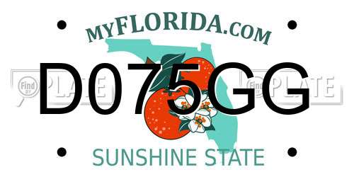 D075GG Florida License Plate
